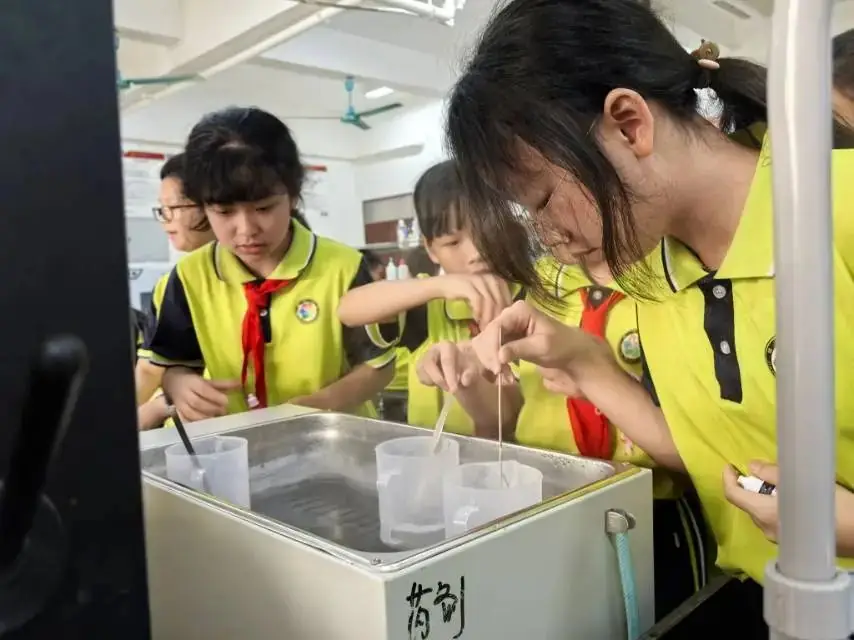 锦兴小学2023—2024学年度第二学期第14周教育周报 第26张 锦兴小学2023—2024学年度第二学期第14周教育周报 第26张