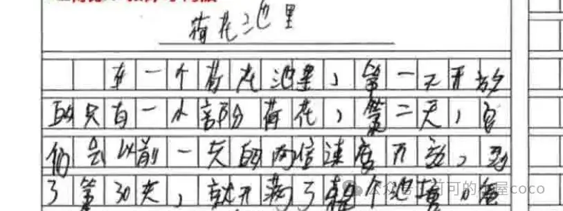 中考作文高分之谜: 第5张 中考作文高分之谜: 第5张
