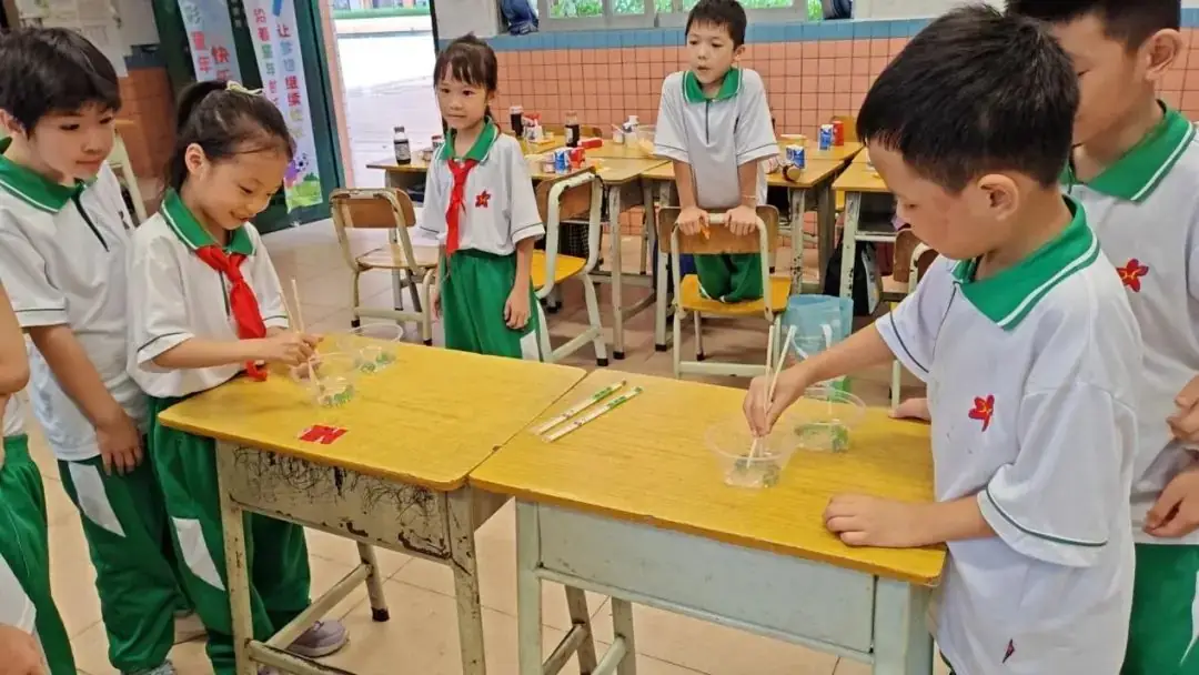 童心永向党 花开新时代——红棉小学2023学年“六一”儿童节系列活动 第175张 童心永向党 花开新时代——红棉小学2023学年“六一”儿童节系列活动 第175张