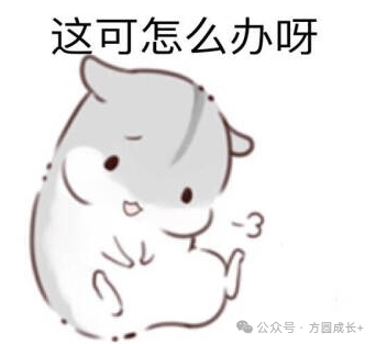 高考倒计时,考前考中12个“怎么办”该如何应对?这些建议很实用→ 第3张 高考倒计时,考前考中12个“怎么办”该如何应对?这些建议很实用→ 第3张