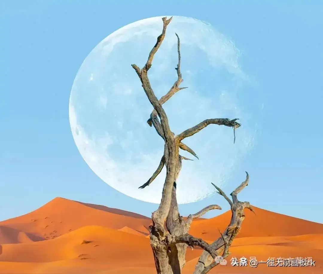 高考成绩公布后,24小时必须完成的六个任务,避免退档或滑档! 第2张 高考成绩公布后,24小时必须完成的六个任务,避免退档或滑档! 第2张