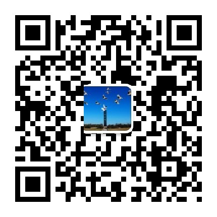 中华小学开展“欢乐童年 放飞梦想”儿童节主题活动 第11张 中华小学开展“欢乐童年 放飞梦想”儿童节主题活动 第11张