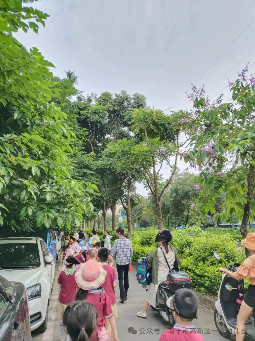 初探小学,助力幼小衔接——南宁市高新技术产业开发区一帆幼儿园 2024年春季学期参观小学活动 第52张 初探小学,助力幼小衔接——南宁市高新技术产业开发区一帆幼儿园 2024年春季学期参观小学活动 第52张