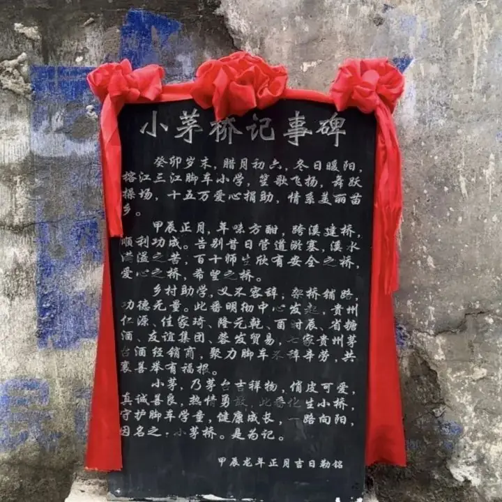 公益项目 | 脚车小学校园改造顺利结项暨六一儿童节特别活动 第32张