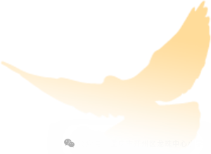 热烈祝贺龙珠小学李民丰老师在第十届全国小学数学文化优质课展示暨课堂教学观摩会中荣获说课比赛一等奖! 第7张 热烈祝贺龙珠小学李民丰老师在第十届全国小学数学文化优质课展示暨课堂教学观摩会中荣获说课比赛一等奖! 第7张