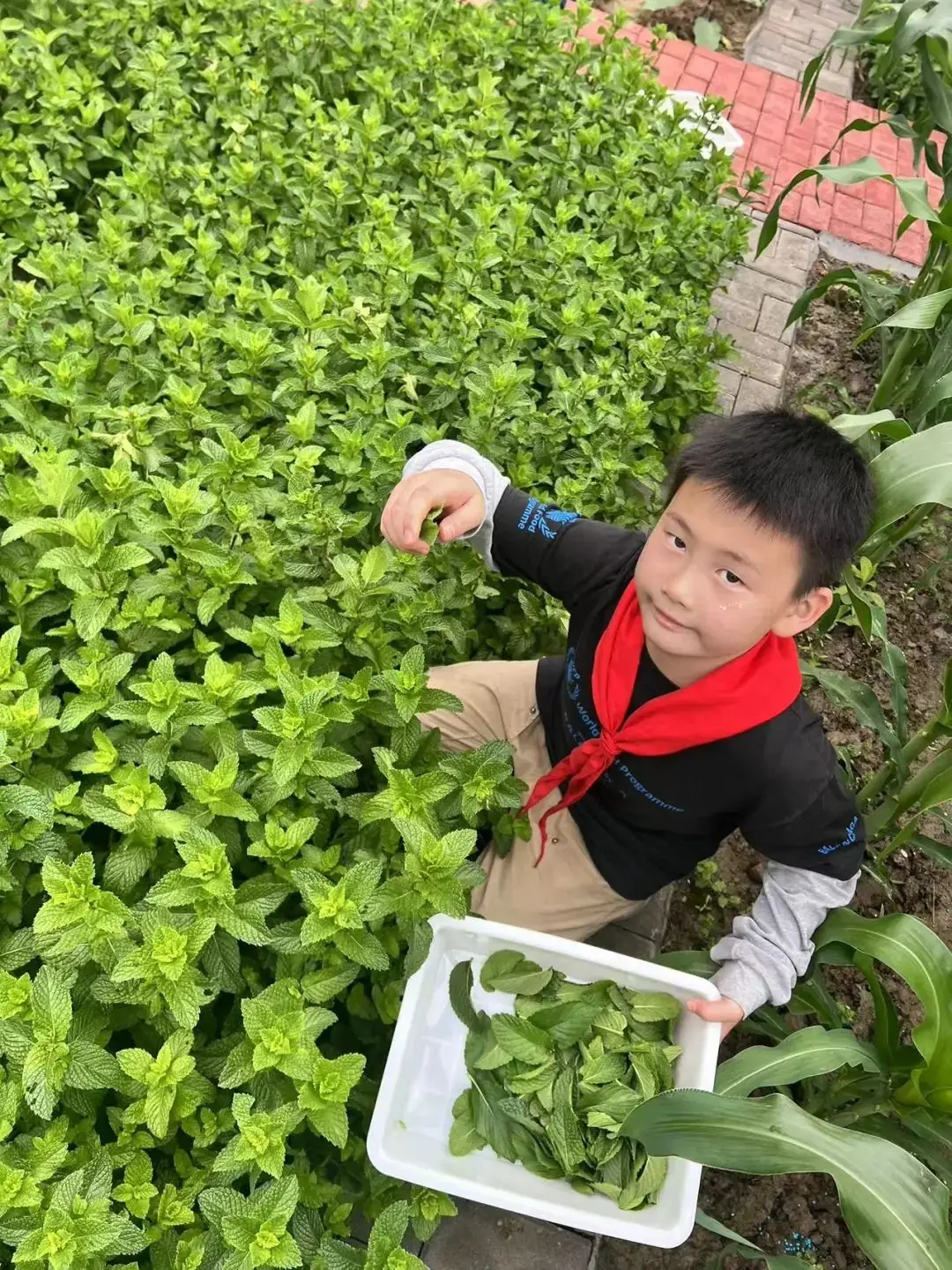 做一天古代角里小孩——朱家角小学庆“六一”沉浸式体验活动 第57张