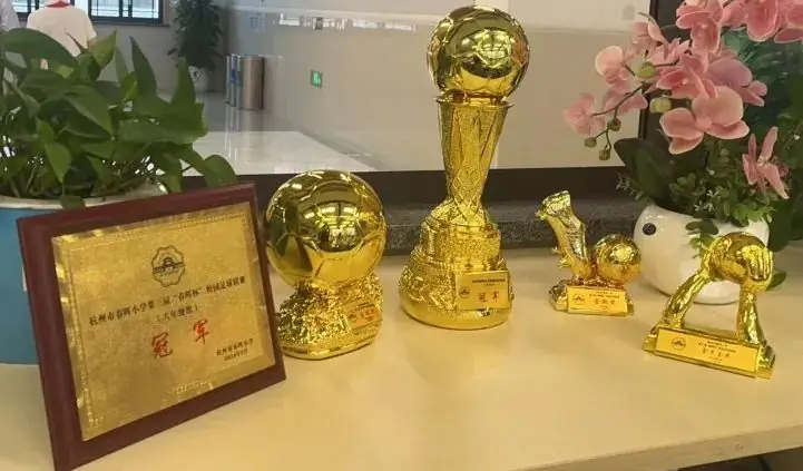 喜报|杭州市春晖小学六(1)中队近期荣誉收获! 第8张