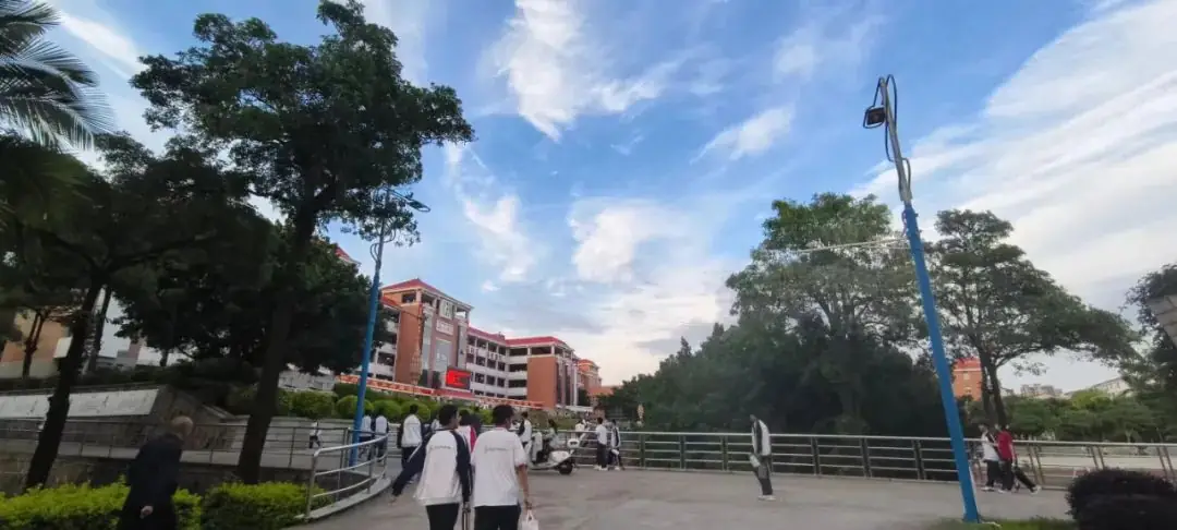 高考临门一脚11丨作文凤头豹尾全套练标题+开头+结构+素材+结尾 第3张