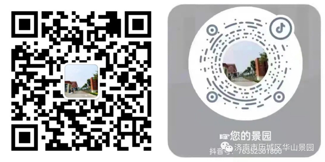 【幼小衔接】初探小学,礼遇成长 第52张 【幼小衔接】初探小学,礼遇成长 第52张