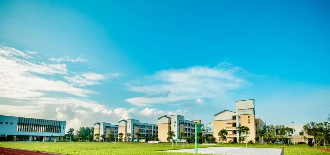 江山市贺村第二小学2024年招生公告-第1张图片-四季读书网 江山市贺村第二小学2024年招生公告-第1张图片-四季读书网