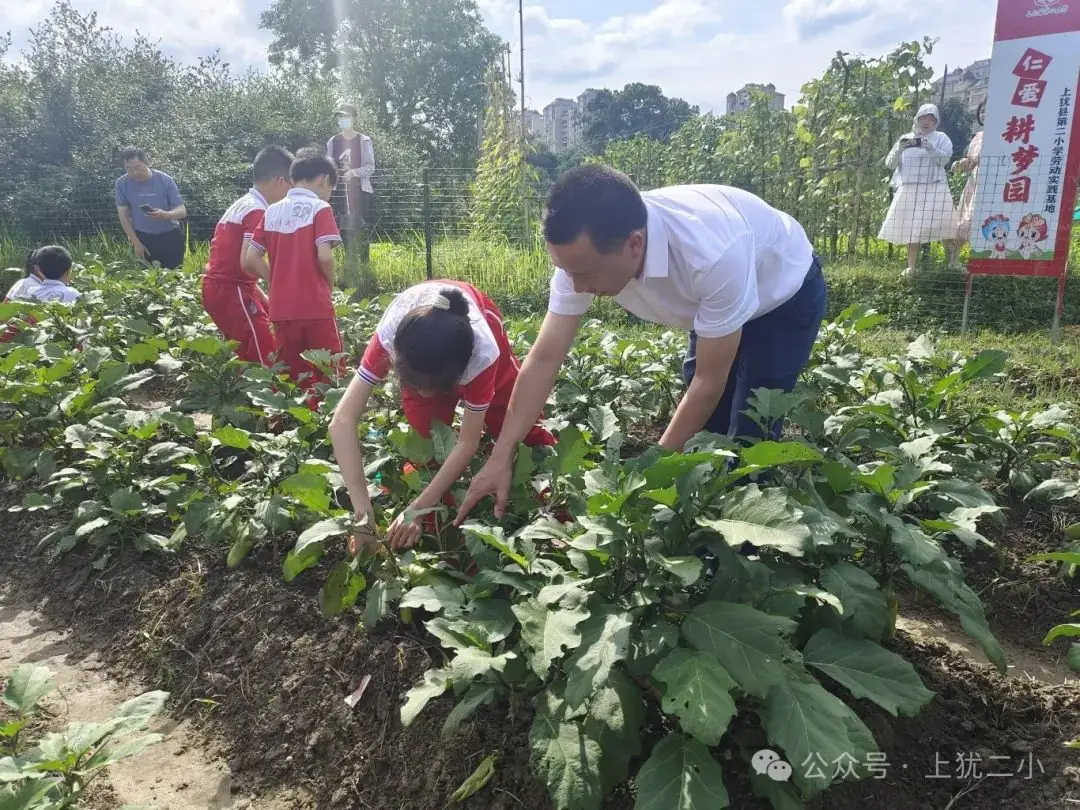 上犹县第二小学一周周报(第116期) 第8张 上犹县第二小学一周周报(第116期) 第8张