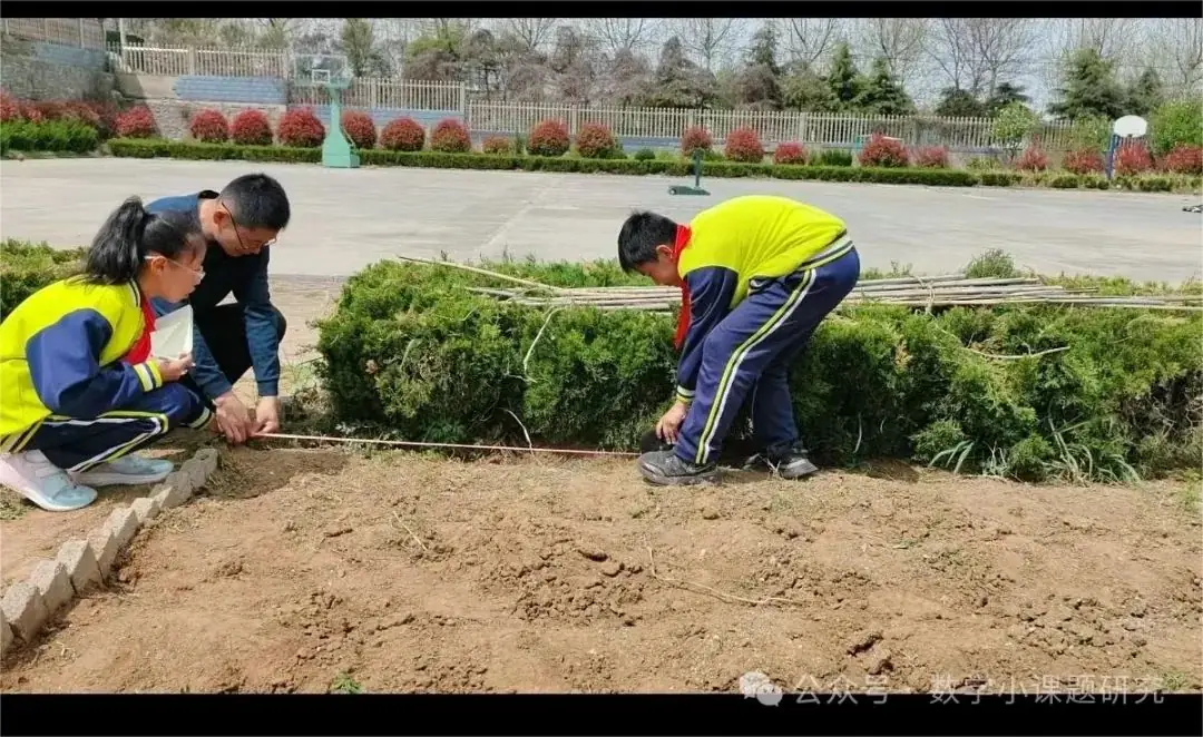 小学数学跨学科主题学习实践案例——小红薯成长记 第4张 小学数学跨学科主题学习实践案例——小红薯成长记 第4张