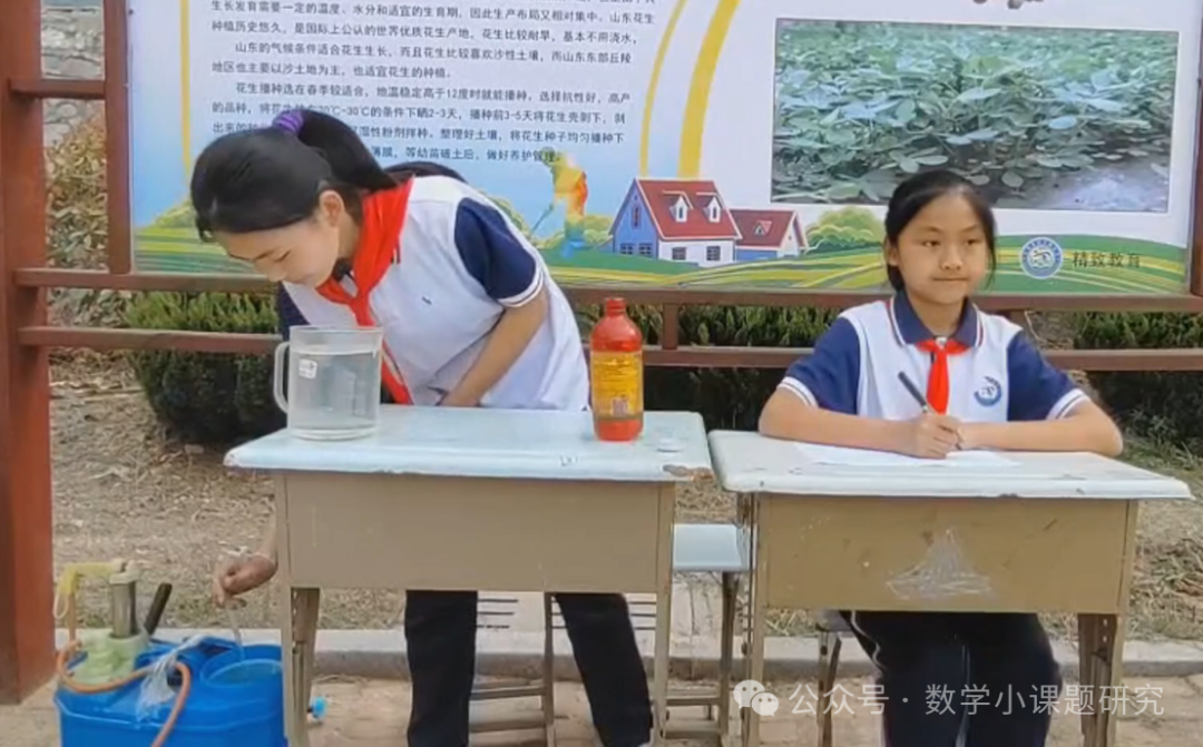 小学数学跨学科主题学习实践案例——小红薯成长记 第11张 小学数学跨学科主题学习实践案例——小红薯成长记 第11张
