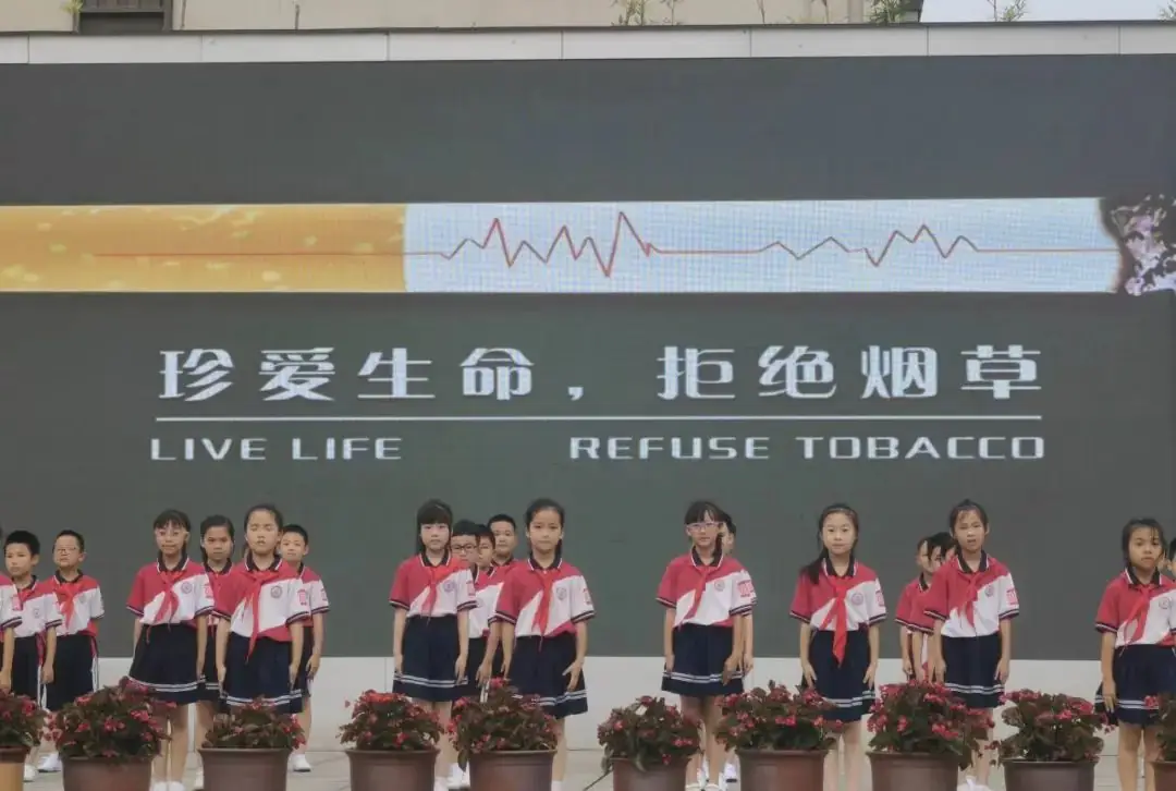 远离烟草,文明生活——荣昌区尔雅小学第15周升旗仪式暨二.9中队班级文化展示 第4张