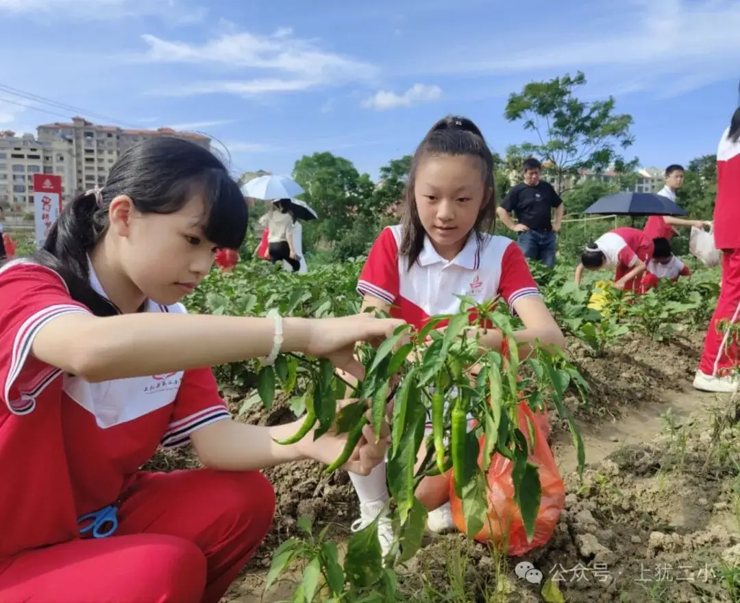 上犹县第二小学一周周报(第116期) 第9张 上犹县第二小学一周周报(第116期) 第9张