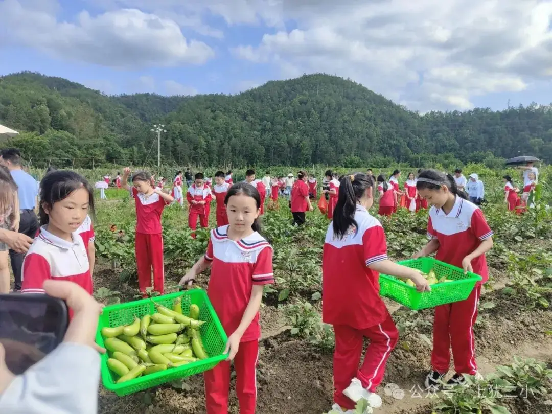 上犹县第二小学一周周报(第116期) 第10张 上犹县第二小学一周周报(第116期) 第10张
