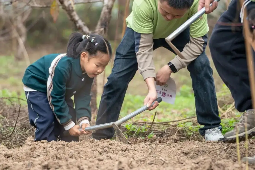 龙港市第九小学附属幼儿园2024年秋季招生公告 第13张