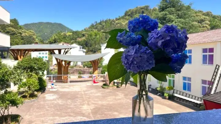 缙云县章村小学美周报 第12张
