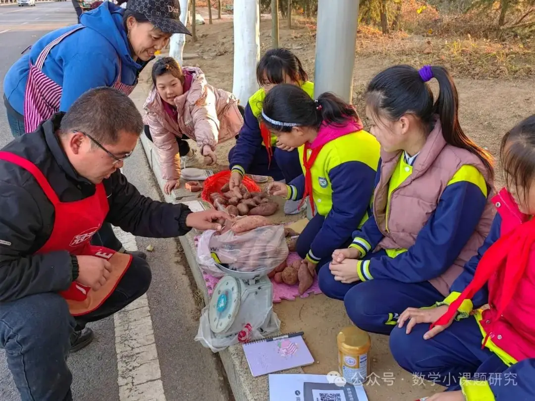 小学数学跨学科主题学习实践案例——小红薯成长记 第14张 小学数学跨学科主题学习实践案例——小红薯成长记 第14张