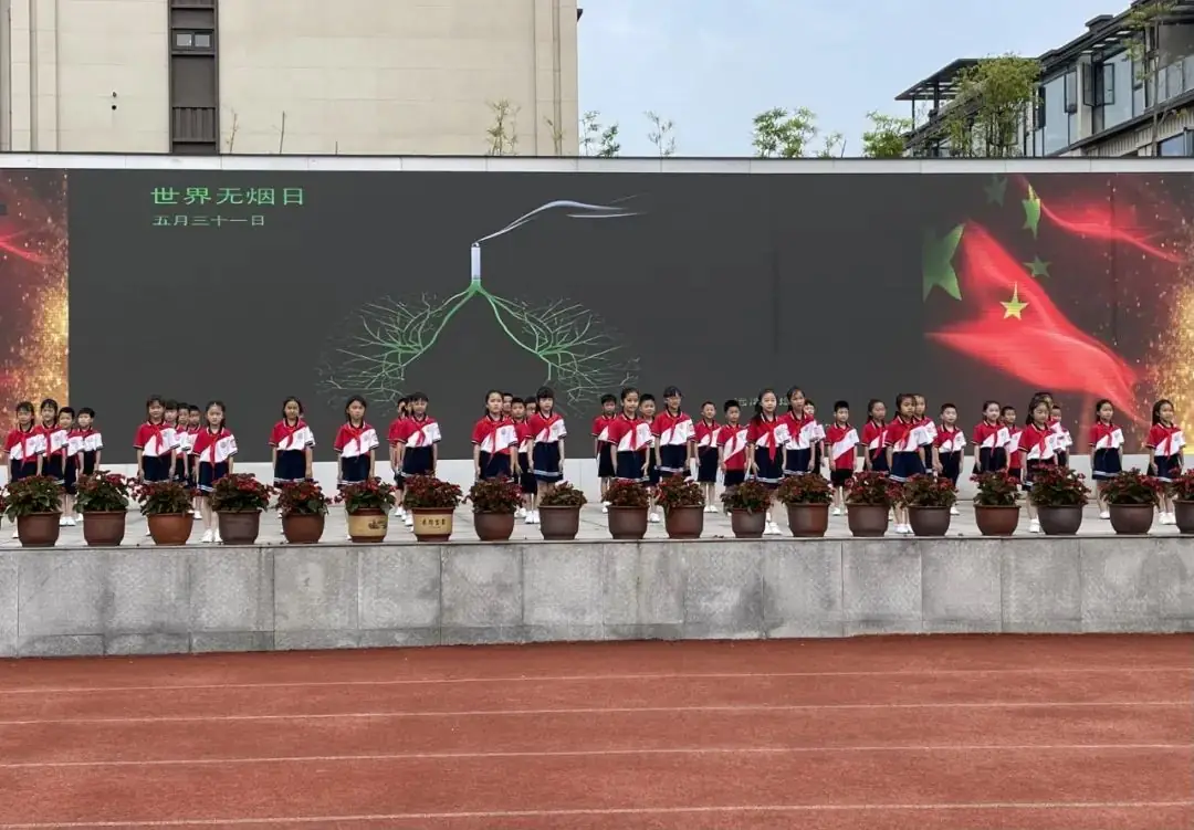 远离烟草,文明生活——荣昌区尔雅小学第15周升旗仪式暨二.9中队班级文化展示 第7张