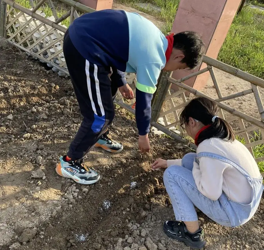 【龙堤小学·微美育人】“每月一事·微美少年”颁奖仪式 第43张