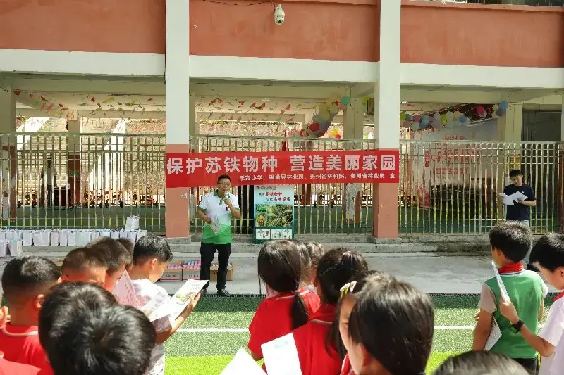 省林科院与乐宽小学联合开展“保护苏铁物种,营造美丽家园”主题科普进校园活动 第2张 省林科院与乐宽小学联合开展“保护苏铁物种,营造美丽家园”主题科普进校园活动 第2张