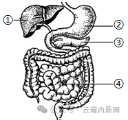 0602初中生物中考押题预测卷选择题及答案 第5张 0602初中生物中考押题预测卷选择题及答案 第5张