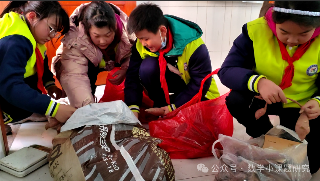 小学数学跨学科主题学习实践案例——小红薯成长记 第12张 小学数学跨学科主题学习实践案例——小红薯成长记 第12张