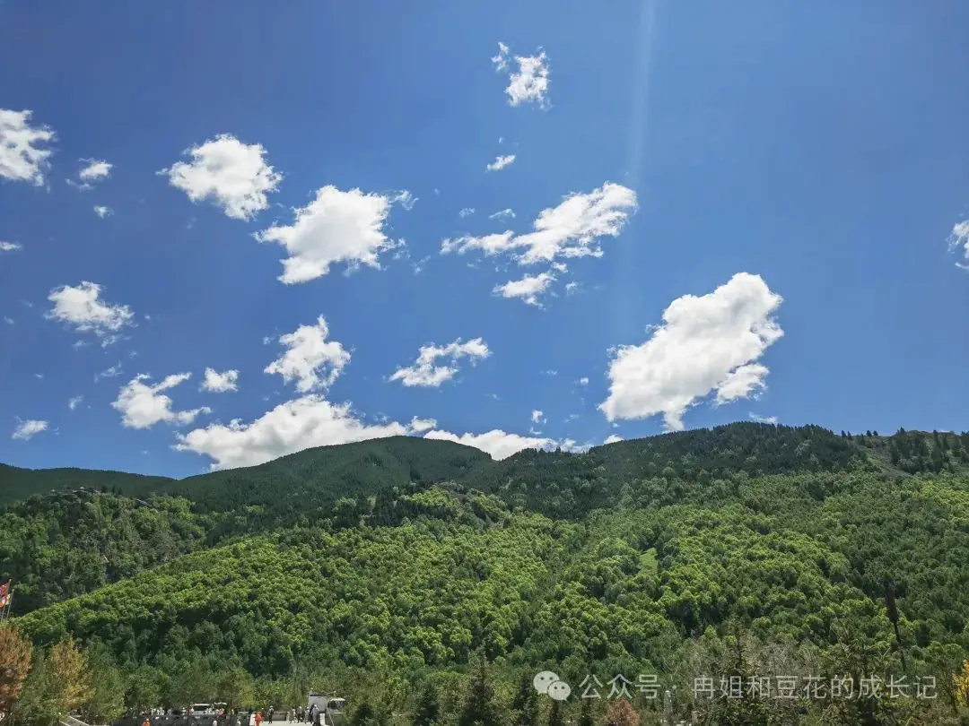 高考倒计时5天 ‖ 梦想起航 第1张 高考倒计时5天 ‖ 梦想起航 第1张