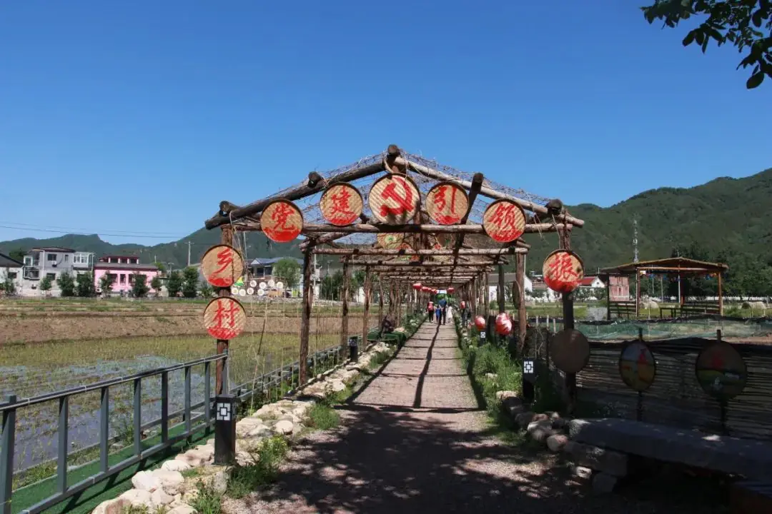太师屯镇中心小学党总支开展“学思践悟,走进中国美丽乡村”主题党日活动 第6张 太师屯镇中心小学党总支开展“学思践悟,走进中国美丽乡村”主题党日活动 第6张