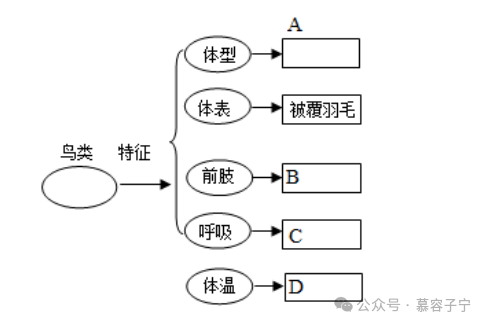 【中考生物】2024年中考生物二轮复习专题配套测试二 生物的多样性(含答案及解析) 第4张 【中考生物】2024年中考生物二轮复习专题配套测试二 生物的多样性(含答案及解析) 第4张