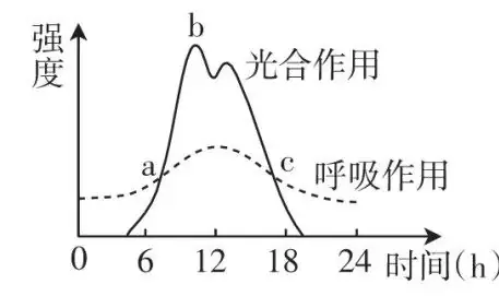 初中生物中考曲线类试题29例(含答案) 第2张 初中生物中考曲线类试题29例(含答案) 第2张