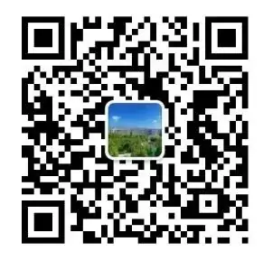 减压赋能,赢战中考——南宁市苏圩中学九年级心理团体辅导活动 第11张 减压赋能,赢战中考——南宁市苏圩中学九年级心理团体辅导活动 第11张