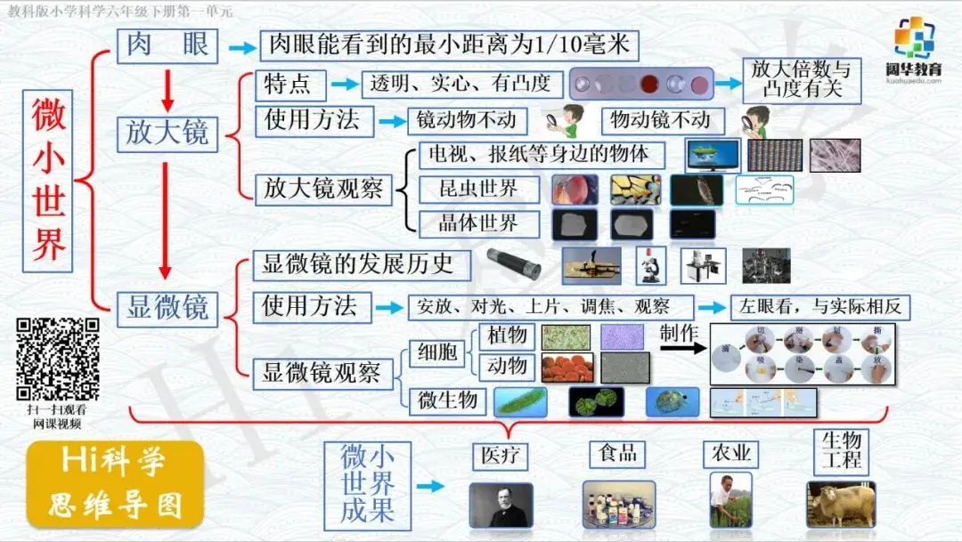 小学科学3-6年级思维导图 第12张 小学科学3-6年级思维导图 第12张