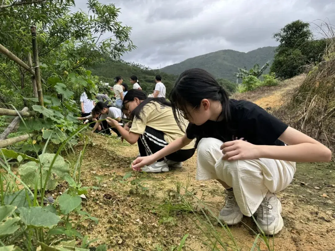 志当存高远 无愧梦少年——名智小学六年级毕业暨庆“六一”研学游 第31张 志当存高远 无愧梦少年——名智小学六年级毕业暨庆“六一”研学游 第31张