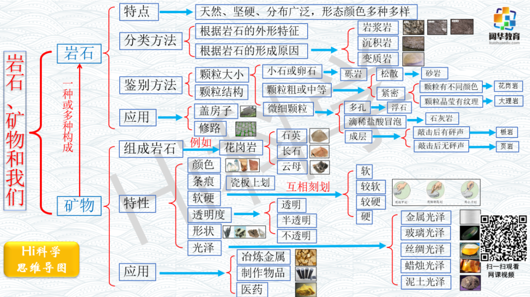 小学科学3-6年级思维导图 第7张 小学科学3-6年级思维导图 第7张