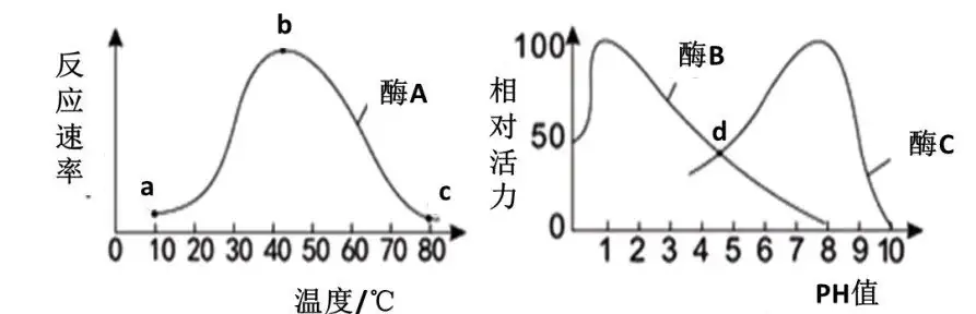 初中生物中考曲线类试题29例(含答案) 第13张 初中生物中考曲线类试题29例(含答案) 第13张