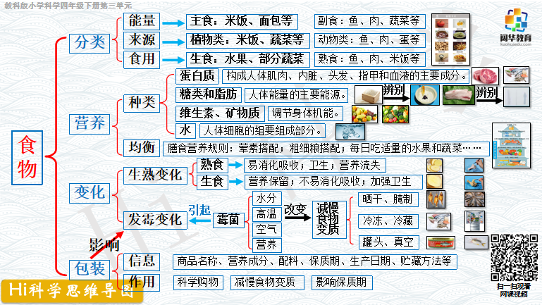 小学科学3-6年级思维导图 第6张 小学科学3-6年级思维导图 第6张