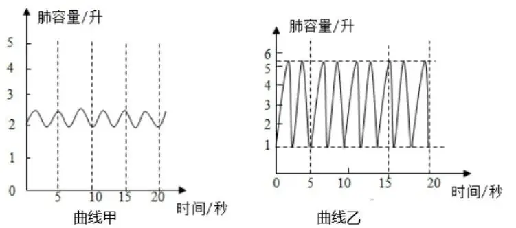 初中生物中考曲线类试题29例(含答案) 第11张 初中生物中考曲线类试题29例(含答案) 第11张