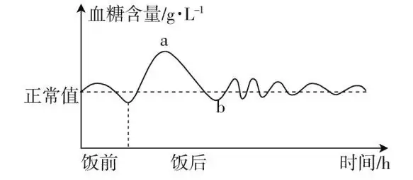 初中生物中考曲线类试题29例(含答案) 第6张 初中生物中考曲线类试题29例(含答案) 第6张