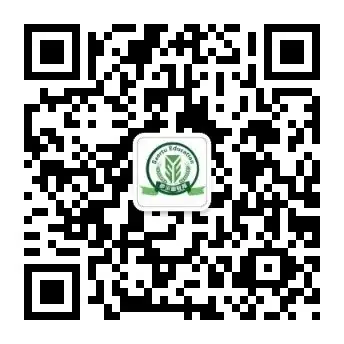 【校园动态】东新一小学劳动最伟大主题劳动课纪实 第10张