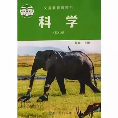 教科版小学科学1-6年级教学资料汇编(收藏备用) 第6张 教科版小学科学1-6年级教学资料汇编(收藏备用) 第6张