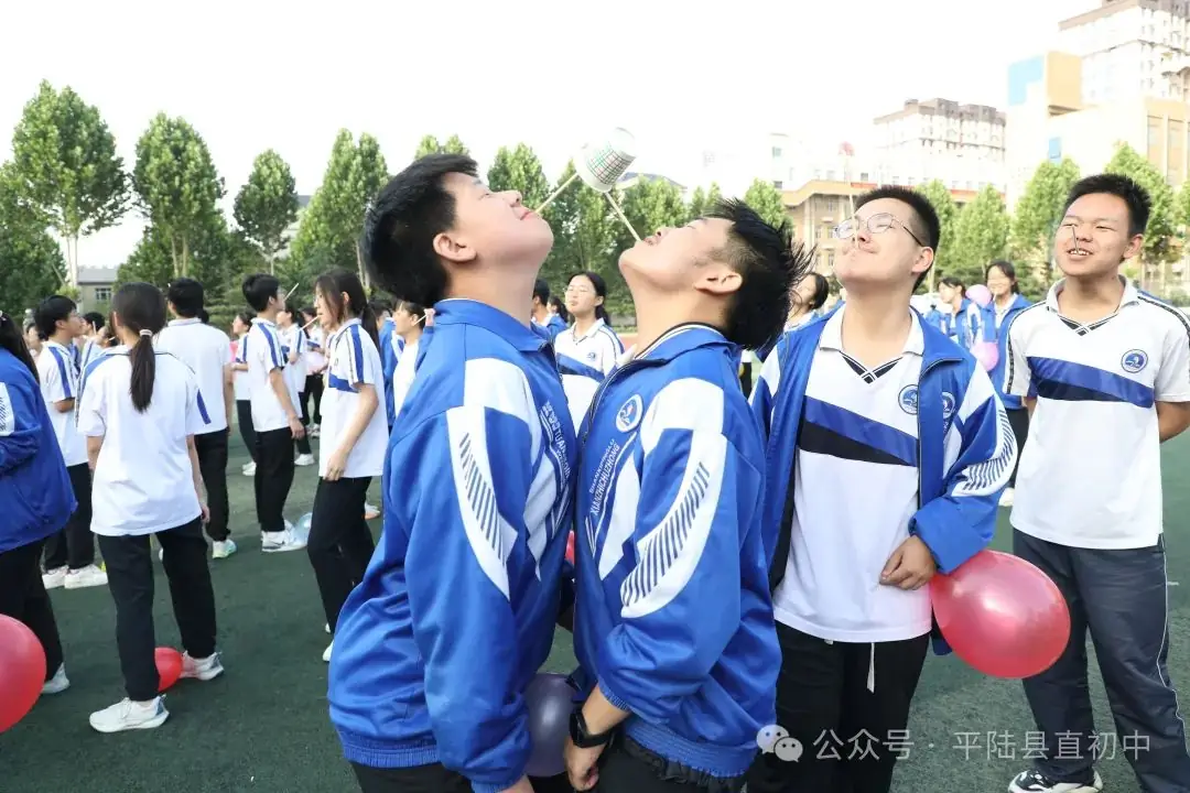 释压战中考  筑梦赢未来 |平陆县第一初级中学初三中考心理团辅活动-第45张图片-四季读书网