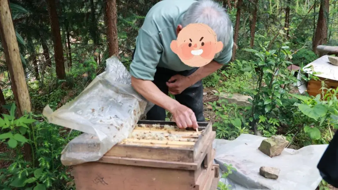 高考前夕,重拳出击!这3人因此事被抓了…… 第12张 高考前夕,重拳出击!这3人因此事被抓了…… 第12张