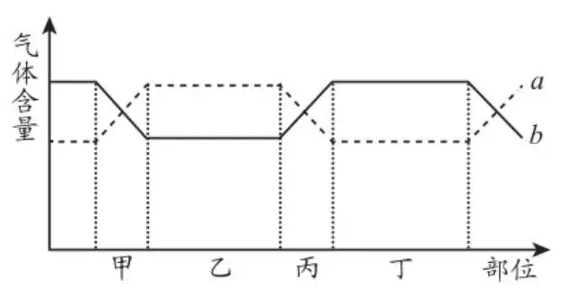 初中生物中考曲线类试题29例(含答案) 第15张 初中生物中考曲线类试题29例(含答案) 第15张