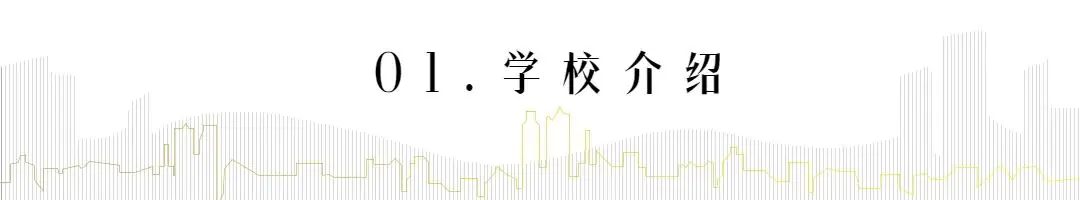徐汇区汇师小学2024年最新招生简章、家长评价、对口地段 第3张