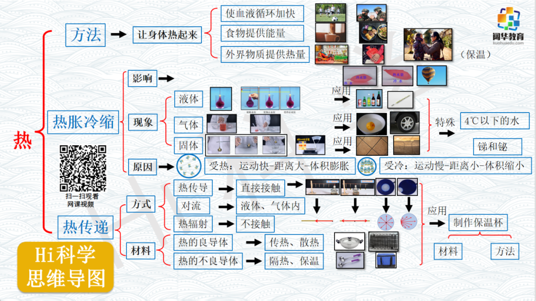 小学科学3-6年级思维导图 第9张 小学科学3-6年级思维导图 第9张