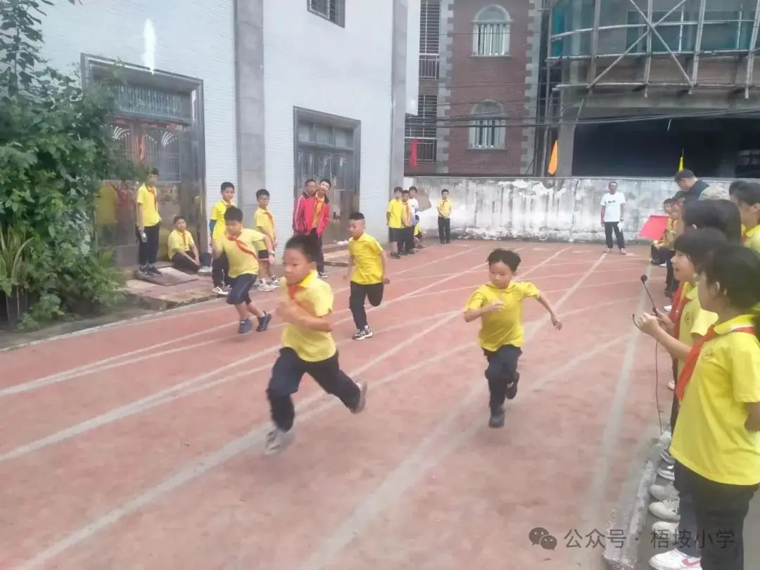 梧垵小学“六一”儿童节运动会 第8张 梧垵小学“六一”儿童节运动会 第8张
