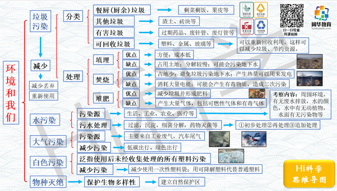 小学科学3-6年级思维导图 第15张 小学科学3-6年级思维导图 第15张