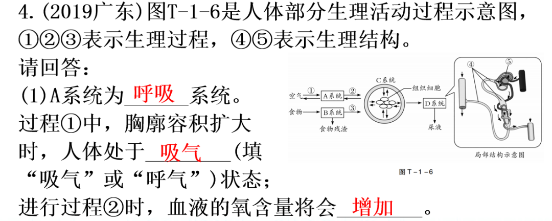 【中考生物】中考题型+解题技巧分析→读题理解 第28张 【中考生物】中考题型+解题技巧分析→读题理解 第28张